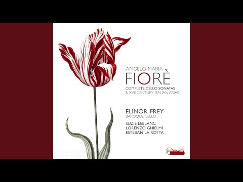 Sonata à Violoncello solo in G Major: I. Grave. Allegro. Adagio - II. Allegro - III. Adagio -...