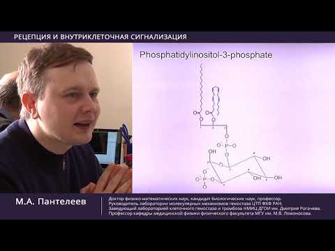 Видео: LncTUG1 / MiR-144-3p влияют на радиочувствительность плоскоклеточного рака пищевода путем конкурентной регуляции C-MET