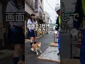 ショック！水夫服女子の犬、未乾き舗装路で用を足す… 工事員に注意されて激しく吠える！ #犬 #工事員 #未乾き舗装路 #路上トラブル #犬のバソコ #吠える犬 #YouTube ショート #路上観察