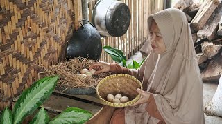 Mengambil Telur dan Metik Kangkung | Masak Telur Ceplok Asam Manis, Sosis Solo Kukus, Cah Kangkung