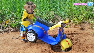 Funny Monkey Luby Goes on a Vespa Motorcycle