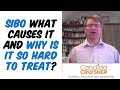 SIBO What Causes It And Why IS It So Hard To Treat SIBO What Causes It And Why IS It So Hard To Treat