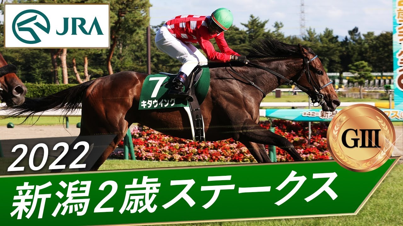 【未使用】キタウイング キャップ 2022 新潟2歳ステークス / 2023 フェアリーステークス 勝利記念 競馬 2022年 新潟2歳ステークス（GⅢ） | キタウイング | JRA公式 - YouTube