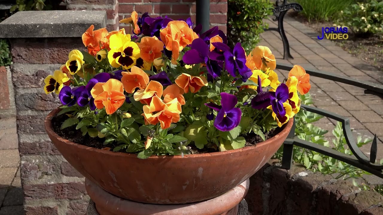 In de Hoek ,2019 05 09