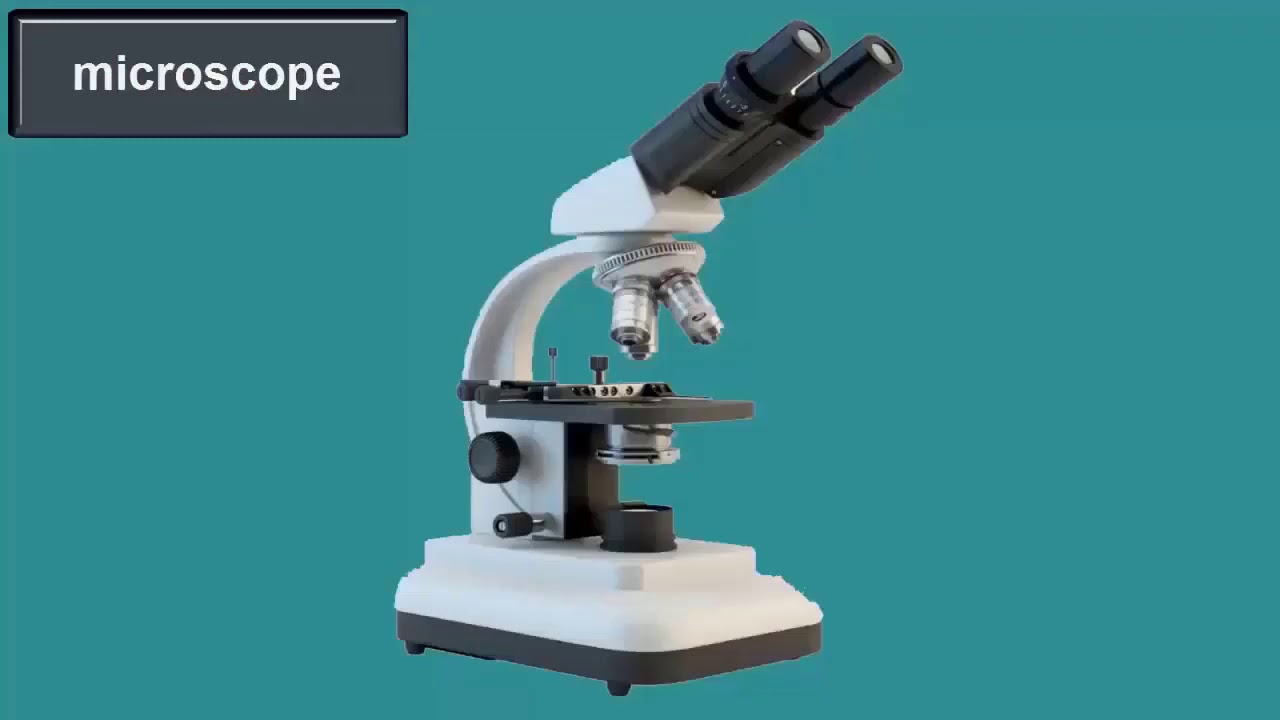 Lenses   Convex   | Work and Principal of Lenses   | Taleem Ghar Tele School