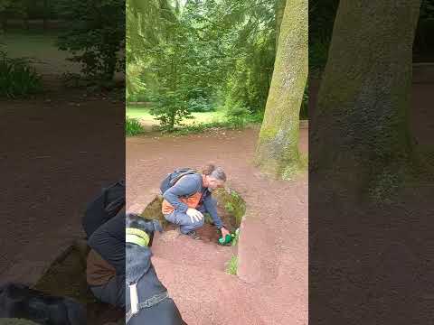 Broceliande !!!