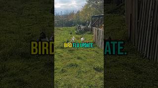 First Severe Bird Flu Case In The U.s. H5N1 Update