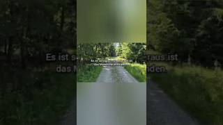 Polarität | Meine Theorie zur Entstehung der Materie