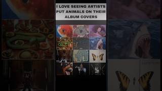 Why animals on album covers always stand out