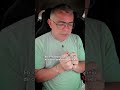 Cuidados com as cobras em sua vida 