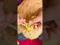 Helping A Chicken Remove Foot Infection #shedding #satisfying #oddlysatisfying