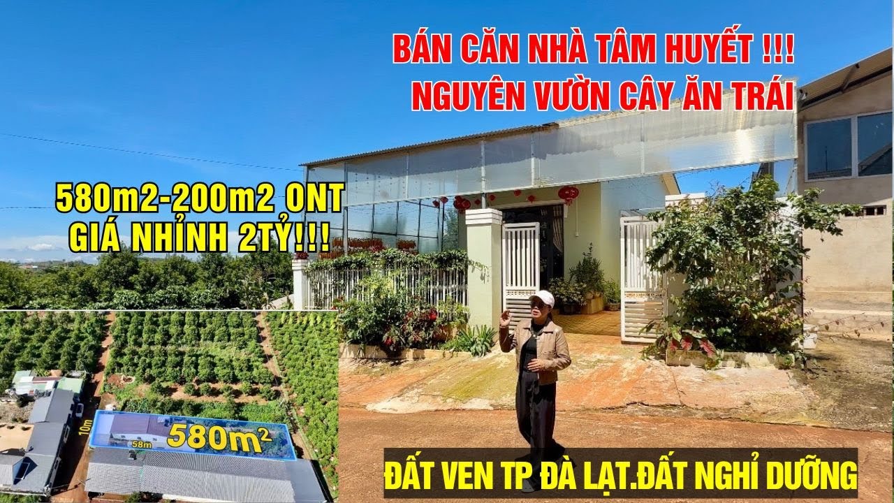 CHỦ CHUYỂN ĐỔI NÊN CẦN BÁN CĂN NHÀ TÂM HUYẾT-SÂN VƯỜN TIỂU CẢNH ĐẸP MẮT-SẴN VƯỜN TRÁI CÂY!#odungbds