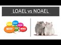 G t7 what is noael and loael general toxicology module 7