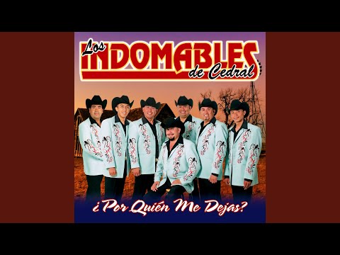 ¿Por Quién Me