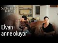 Sefirin Kızı | Elvan Anne Oluyor