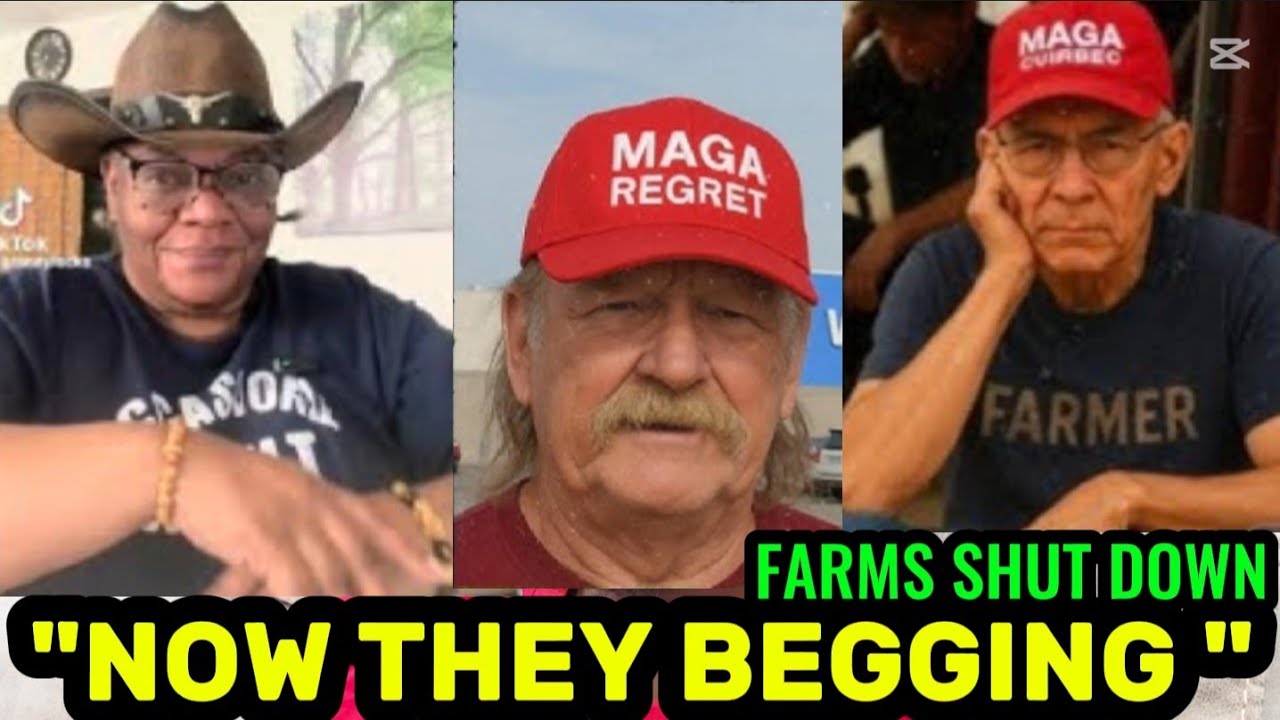 Белые фермеры отчаянно просят чернокожих американцев работать на их фермах после массовой депорта...