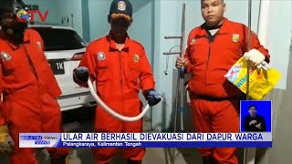 Petugas Damkar di Palangka Raya Evakuasi Ular Berbisa #BuletiniNewsSiang 14/12