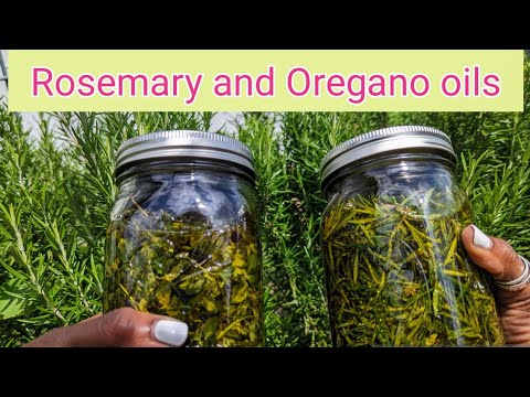 Oregano and rosemary oils - Surprising Hair loss remedy PLUS how to maximumize medicinal benefits