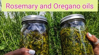 Oregano and rosemary oils - Surprising Hair loss remedy PLUS how to maximumize medicinal benefits