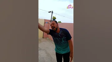 جيبلي درنفيس عادي 