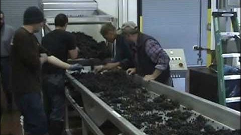 Sthik Vibrating Hopper at Torii Mor