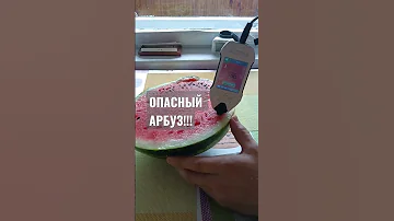 От таких арбузов можно кони двинуть!!!