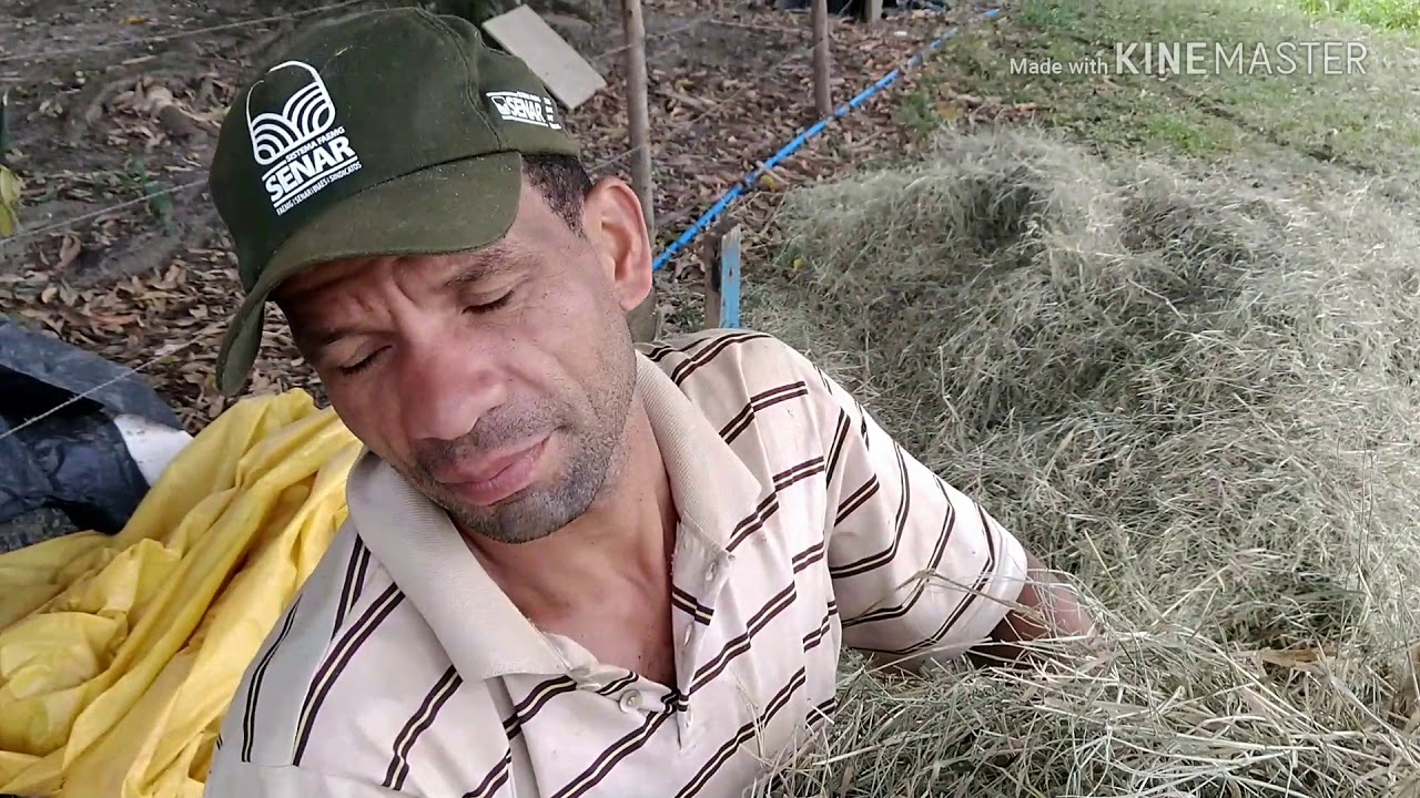 Produção de Feno de um jeito simples e descomplicado!!!