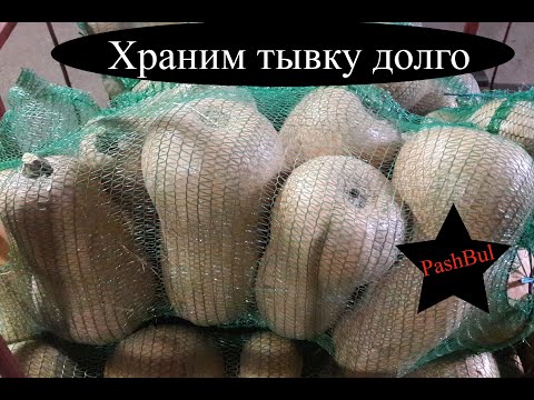 Как сохранить тыкву долго...