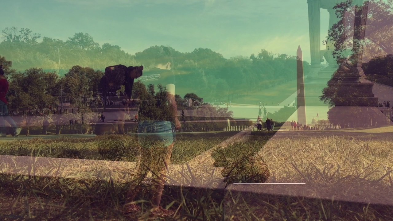 German Shepherd, Max! Electronic Collar Training for German Shepherd