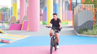cmacewheel L26 New Step through commuter electric bike