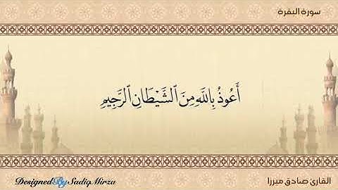 القارئ : صادق ميرزا 12
