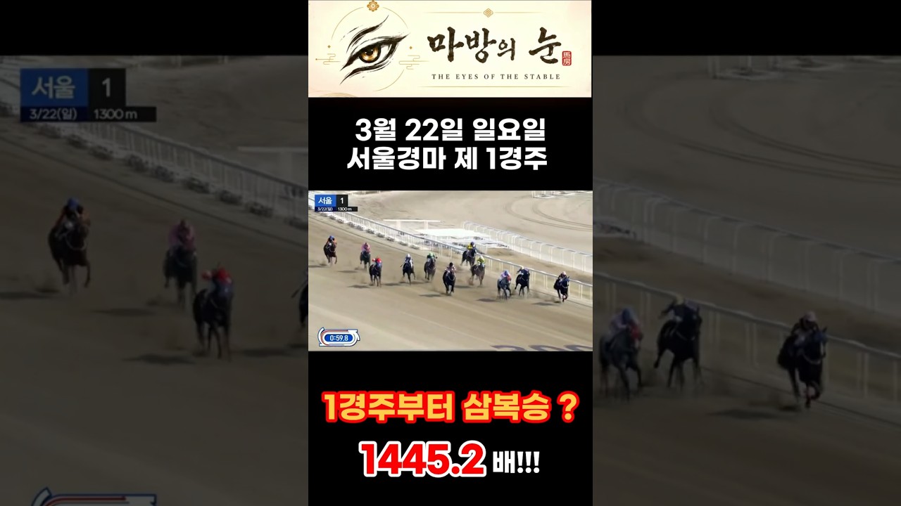 경마는 딱 여기서 갈립니다 #경마 #horse #경마방송 #경마예상 ##경마예측 #경마의신 #삼복승 #한국마사회 #경마분석 #경마유튜브 #경마쇼츠 #경마장 #경마추천 #경마적중