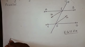 If two parallel lines are interested by a transversal then Prove that the bisectors of any pair...