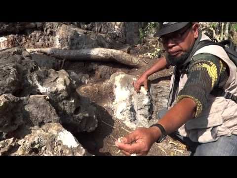 Image Cari Batu Mulia