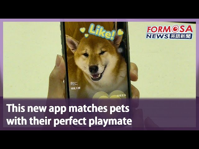 This new app matches pets with their perfect playmate｜Taiwan News