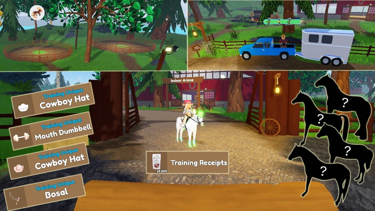 Training island update! + *5,500* training receipts hand in! (Wild horse islands)