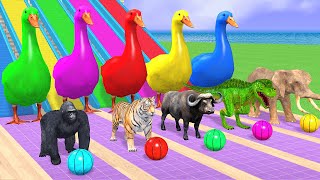 Basket Ball Game Game With Cow Elephant Gorilla Tiger Dinosaur Wild Animal Escape Cage Game