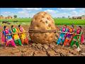 Aloo Paratha | Bihari Village Style Cooking | Traditional Desi Breakfast Recipe