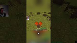 Part 2 || I checked 3000 Minecraft Wiki pages.
