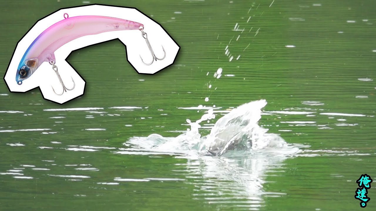 シマノ コンプレックスxrがエリアトラウトに使えそう ビボロク 釣りの備忘録