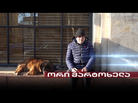 Post Factum | ღია ცის ქვეშ დარჩენილი მოხუცისა და ერთგული ძაღლის, ბათურას ისტორია