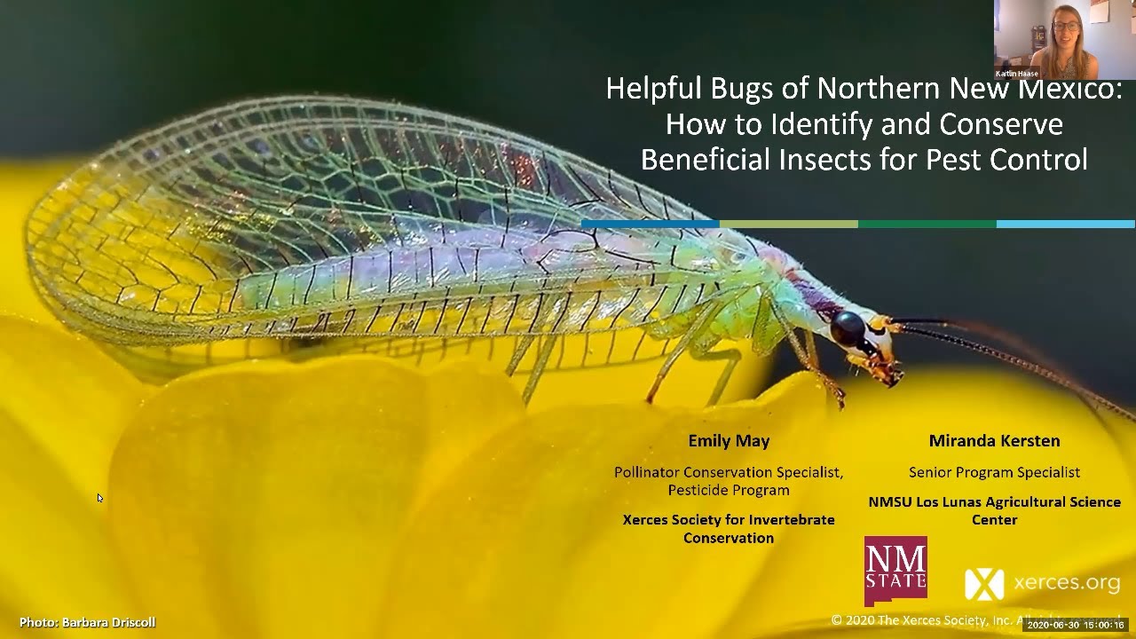 Northwestern Beneficial Insects Habitat Principles | NC State