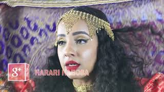 New Harari song, Gey Qahat by Mabub Adem
