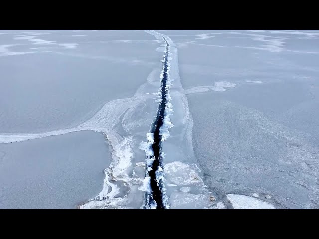 春の青海湖で目覚める希少魚 青海省 - YouTube
