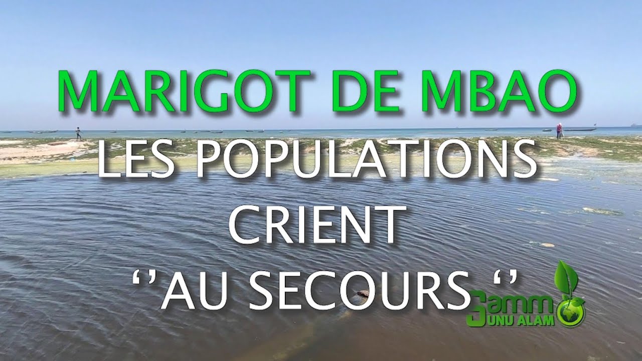 Marigot De Mbao Les Populations Crient au Secours YouTube marigot-de-mbao-les-populations-crient-au-secours-youtube