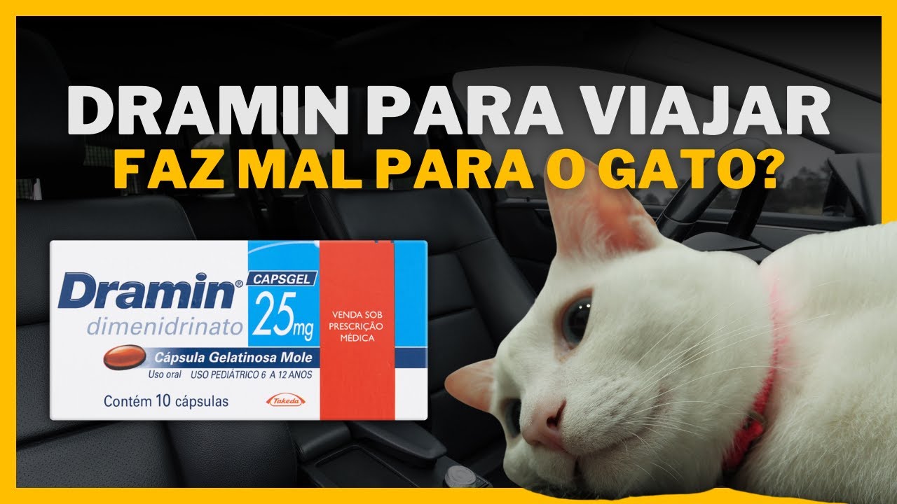 Posso Dar Dramin Pro Meu Gato - YouTube