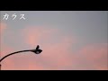 八代亜紀さんの【カラス】日本の名曲演歌Cover