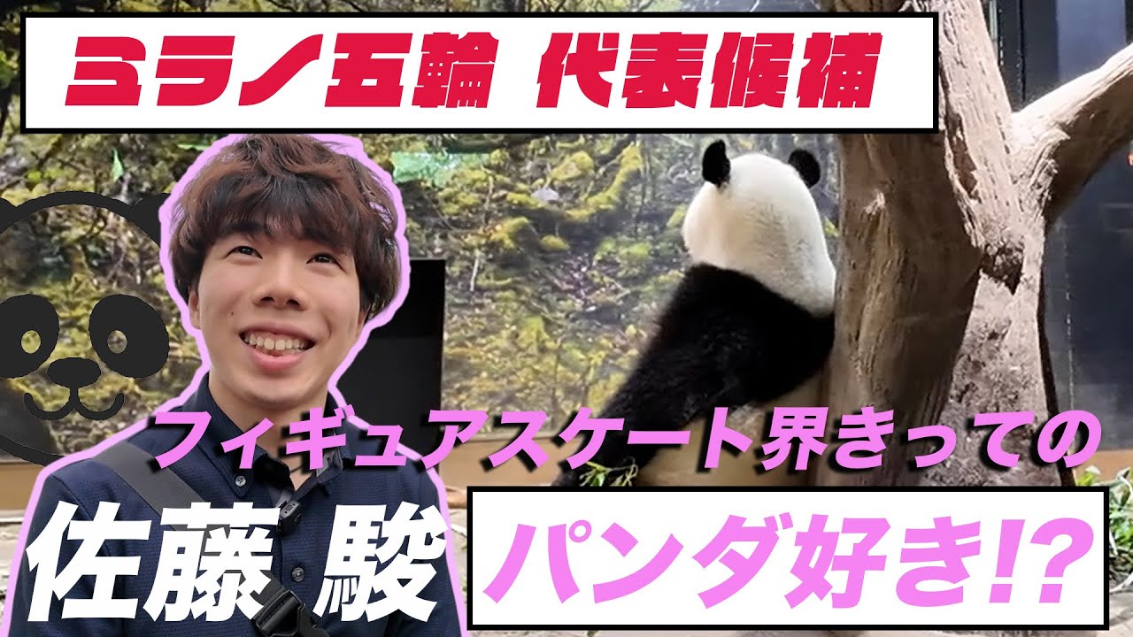 【独占】ミラノ五輪代表候補・佐藤駿 フィギュア界きってのパンダ好き!?初めての動物園ロケに挑戦！