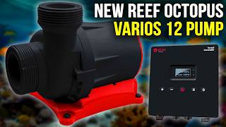 Reef Octopus Varios 12: Everything You Need to Know
