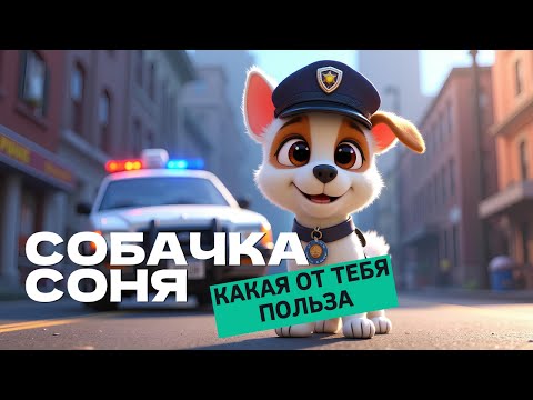 Собачка Соня. Какая от тебя польза 🐶🔥Какая от тебя польза